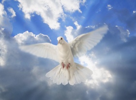 HOLY SPIRIT – YOUR PERFECT COMPANION Pr. P. M. George